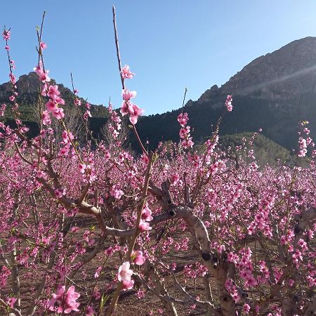 Apartamento Tranquilo Cerca De Zonas Verdes Cieza Exteriör bild