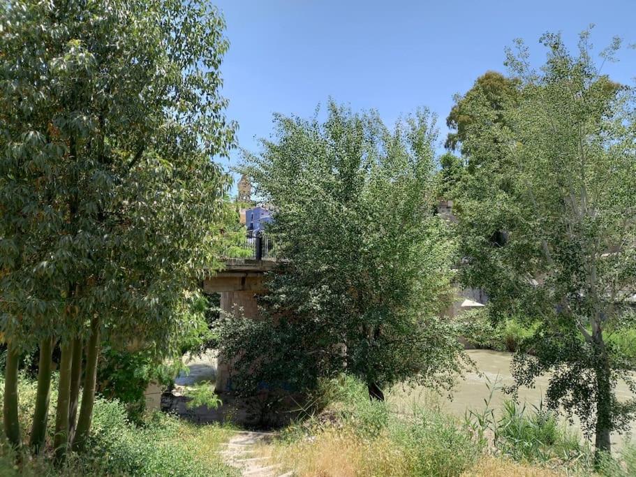 Apartamento Tranquilo Cerca De Zonas Verdes Cieza Exteriör bild