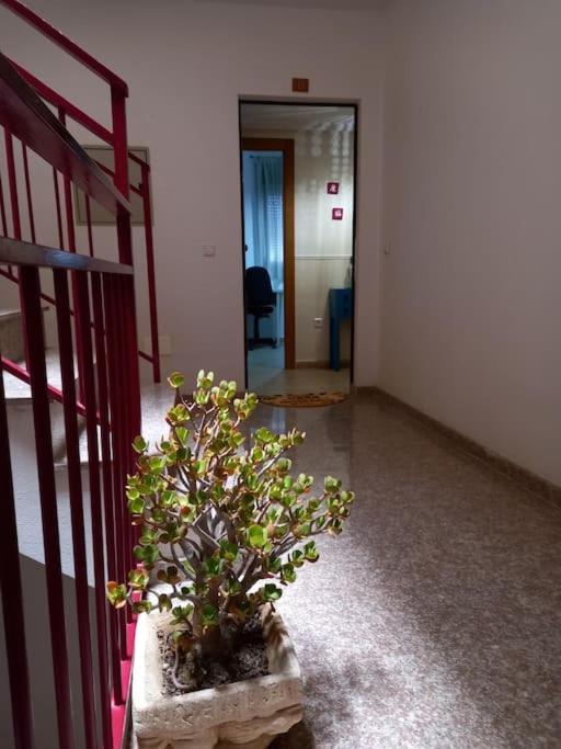 Apartamento Tranquilo Cerca De Zonas Verdes Cieza Exteriör bild