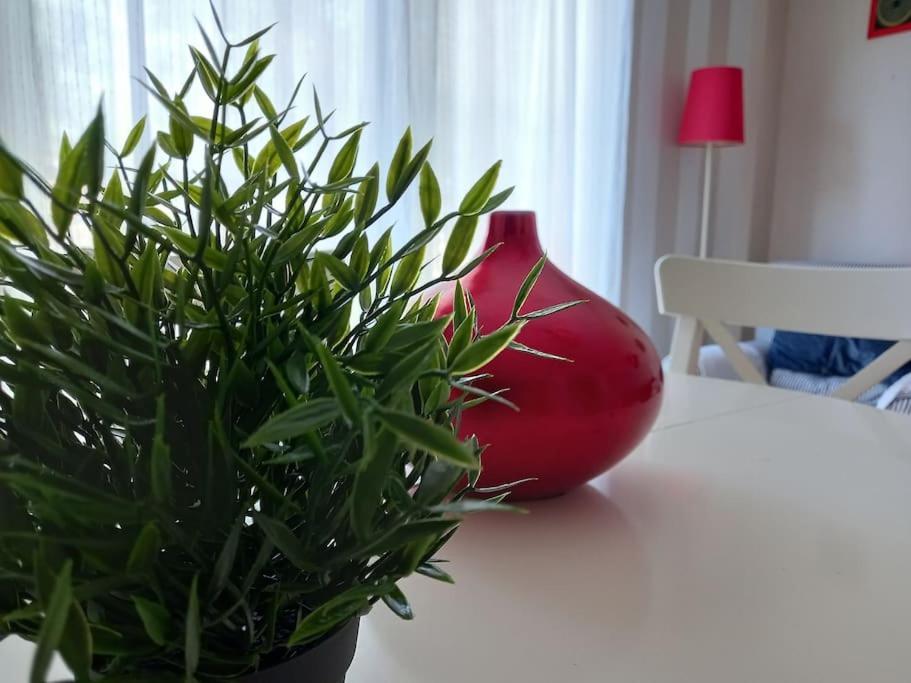 Apartamento Tranquilo Cerca De Zonas Verdes Cieza Exteriör bild